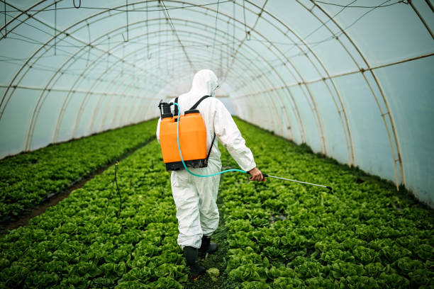 Best Pest Control Near Me  in Meridian, TX