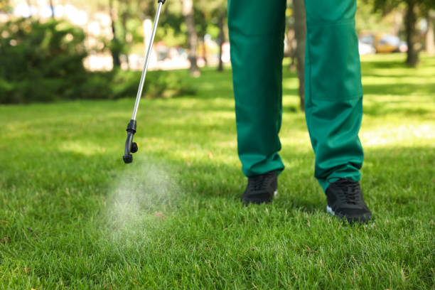 Best Local Pest Control Services  in Meridian, TX