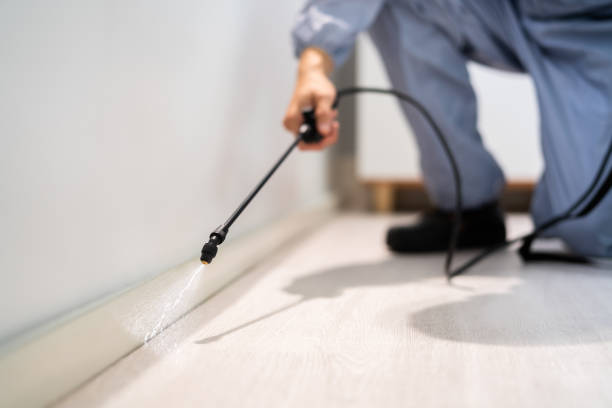 Best Best Pest Control Companies  in Meridian, TX