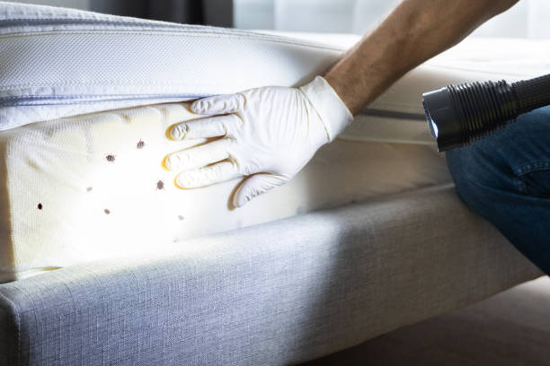 Meridian, TX Pest Control Company