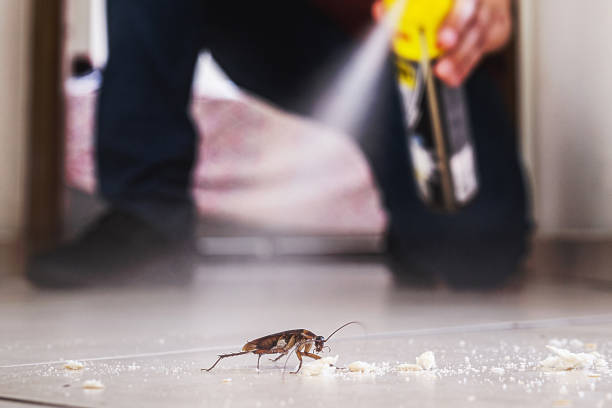 Best Wasp Removal Services  in Meridian, TX