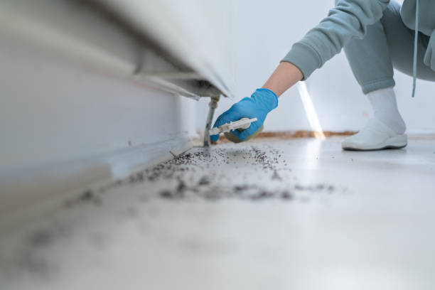 Best Exterminator Services  in Meridian, TX